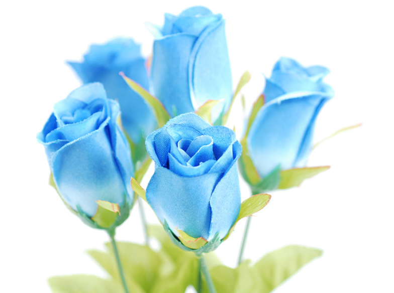 blue　rose.