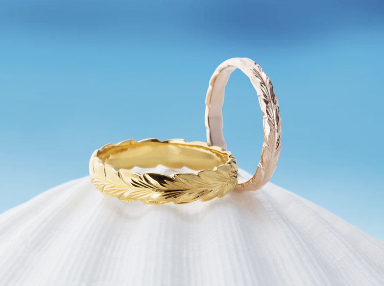 shell_image_01