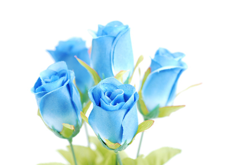 blue　rose.