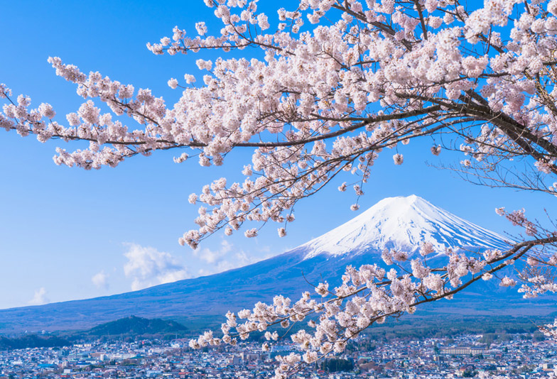 【静岡市】大人気の桜柄の結婚指輪！春に入籍するから絶対入れたい桜デザイン！