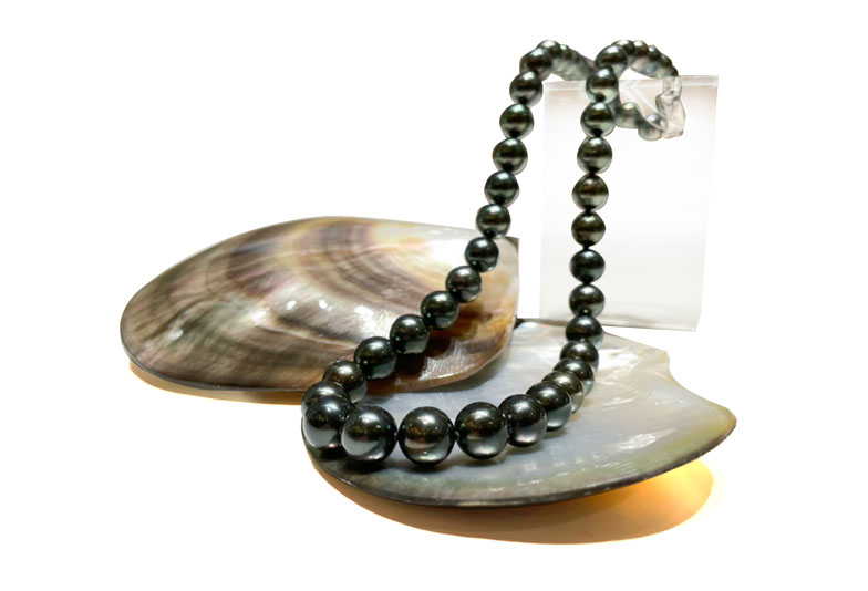 静岡市】黒蝶真珠ネックレス。気になる価格と品質 - Jewelry Story 