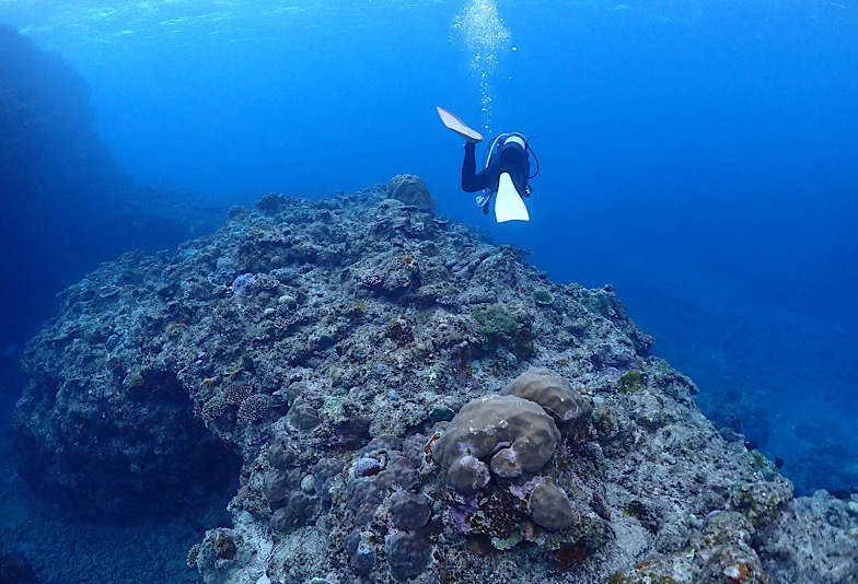 福井で海を見ながらプロポーズできる海水浴場