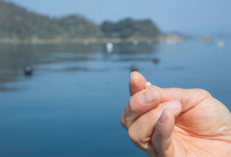 浜松市真珠ネックレス