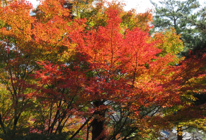 福井西山公園