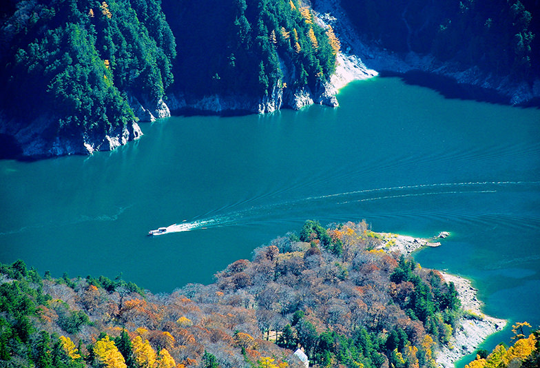 富山県プロポーズ