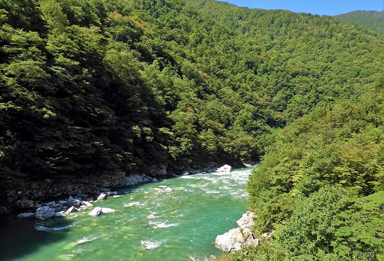富山で人気のプロポーズとは?