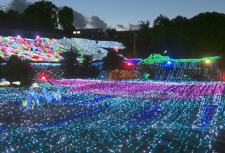 伊豆ぐらんぱる公園