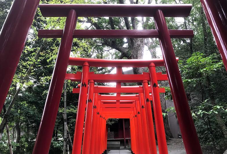 来宮神社