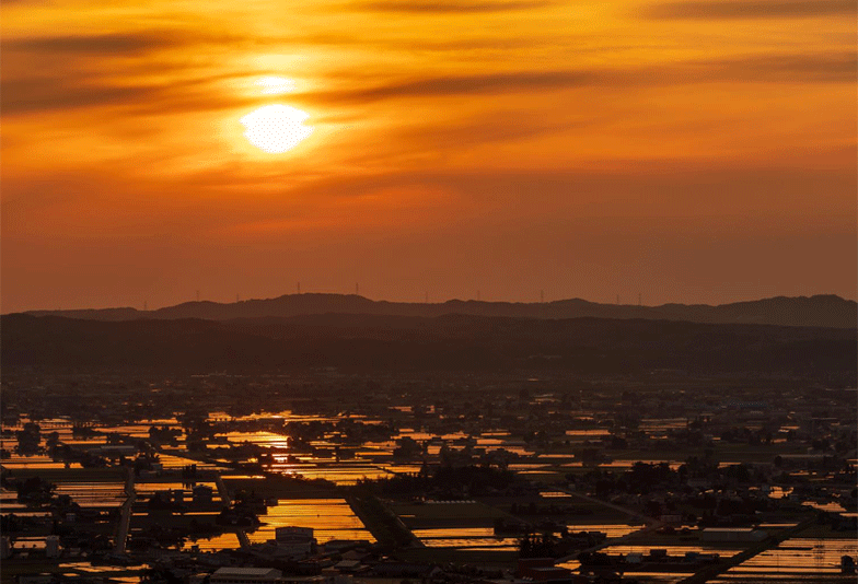 富山プロポーズ