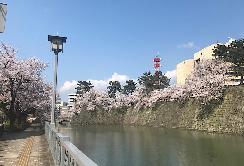 福井旅行先でプロポーズ