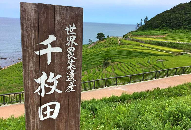 石川県輪島市にある白米千枚田は「日本の棚田百選」や「国指定文化財名勝」にも指定されている