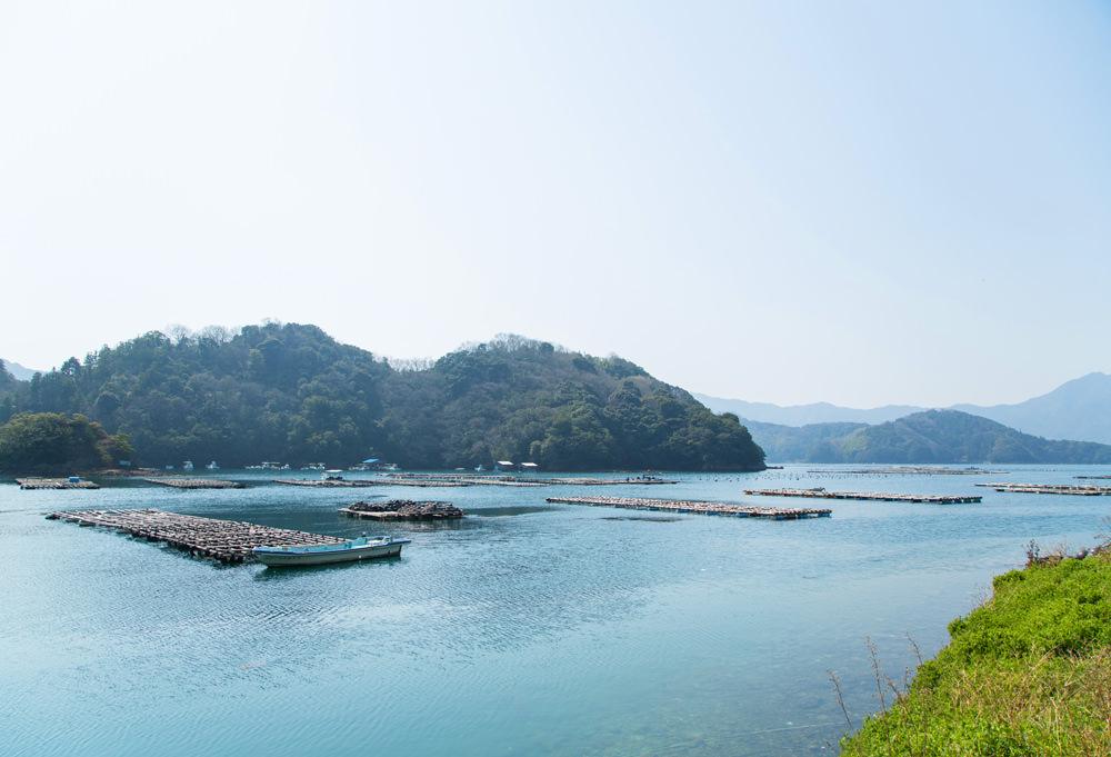 浜松　真珠　良質