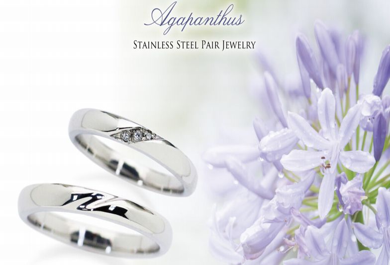 姫路アガパンサス