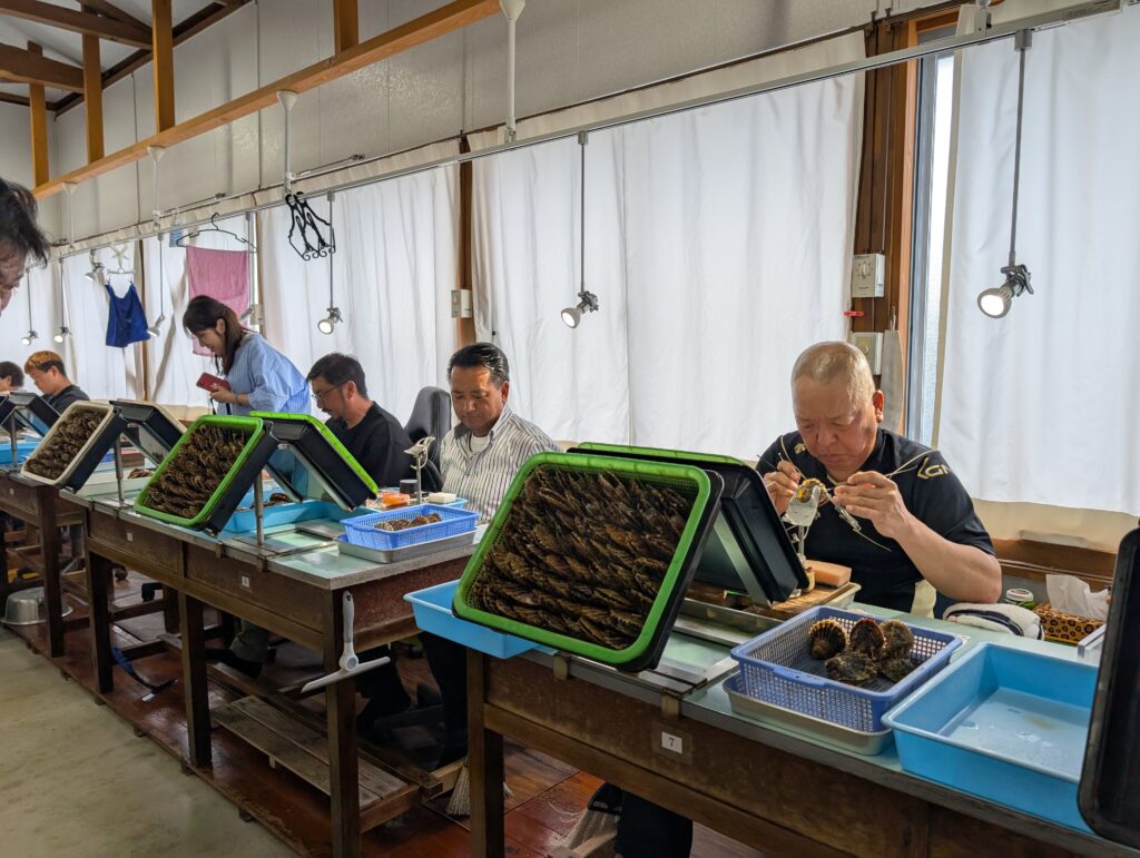 挿核作業する職人たち