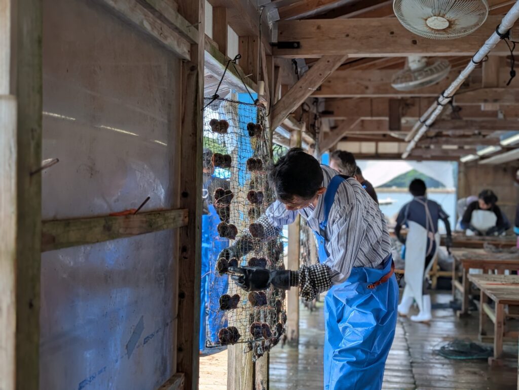 パール作りを行う職人