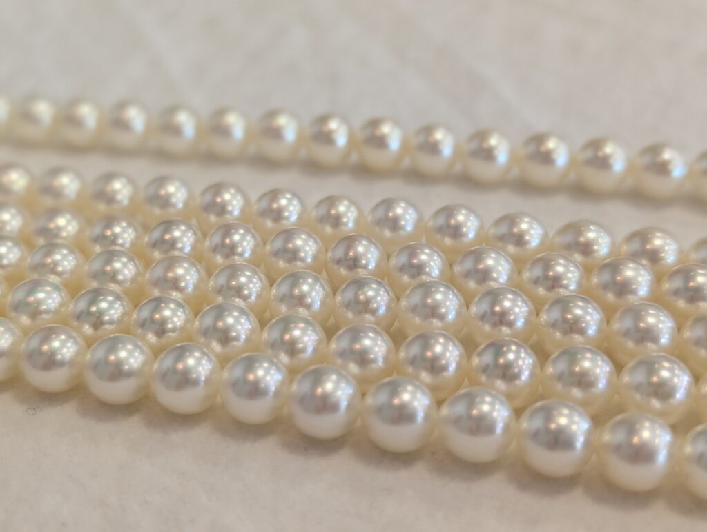 テリのいい真珠