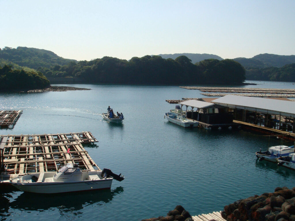 優花真珠が養殖されている湾