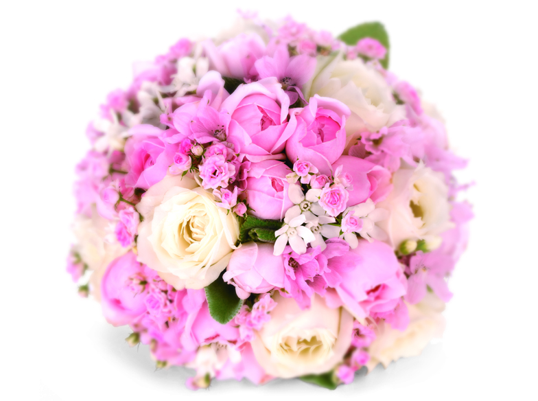 【静岡市・浜松市】プロポーズの原点！バラの花に込められた想い♡ダーズンローズとは？