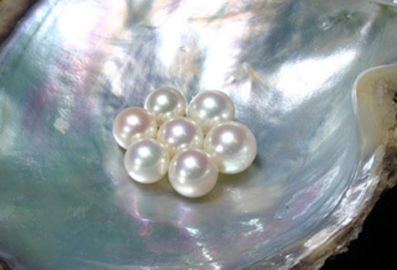 【浜松市】自然美を追求したナチュラルパールネックレス・松本真珠。幸せを呼び込む縁起の良い”真珠・パール”の輝きで厄除け＆厄払いしませんか？