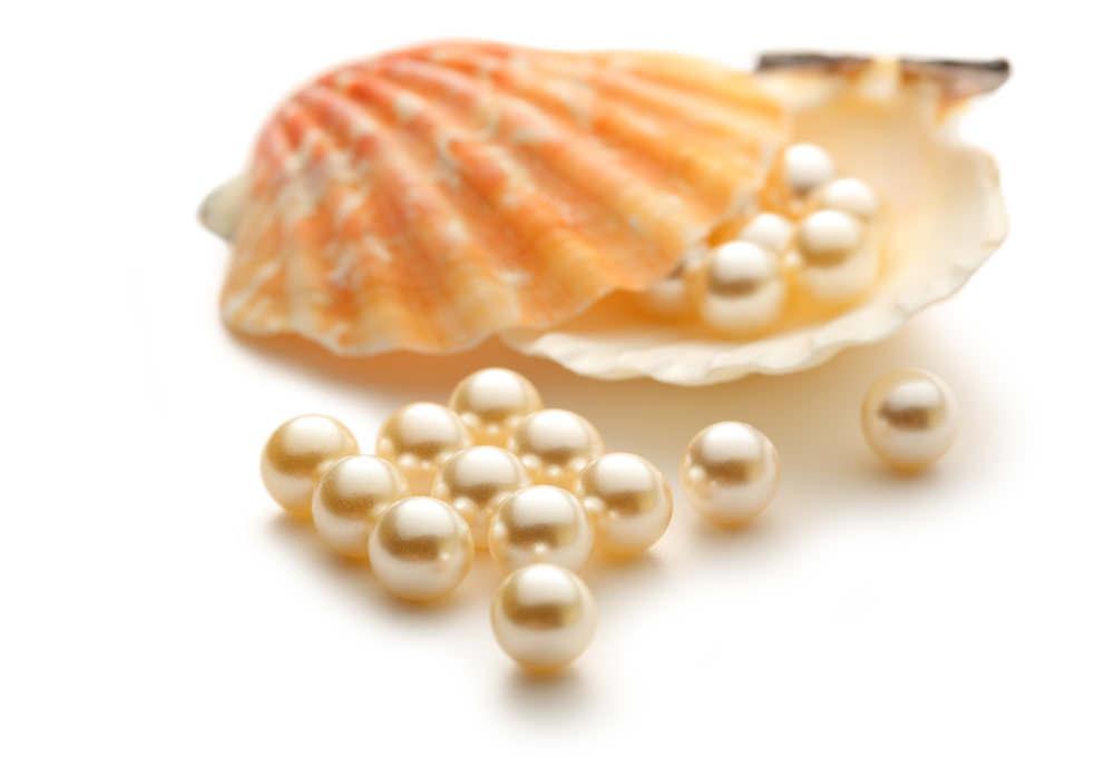 Scattering white pearls in seashell