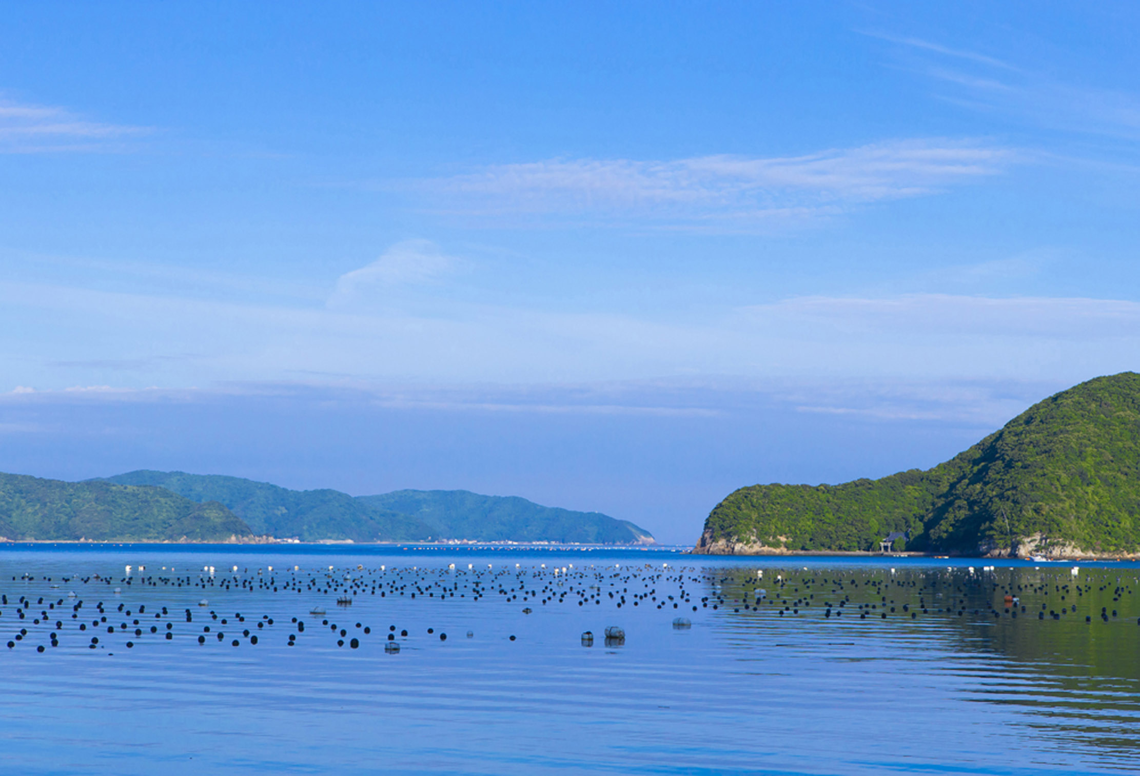 宇和島