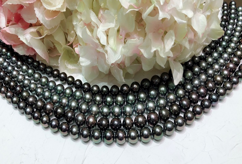 福井市ベル 白真珠と黒真珠どちらを使うのが正しいの？年齢は関係ある 