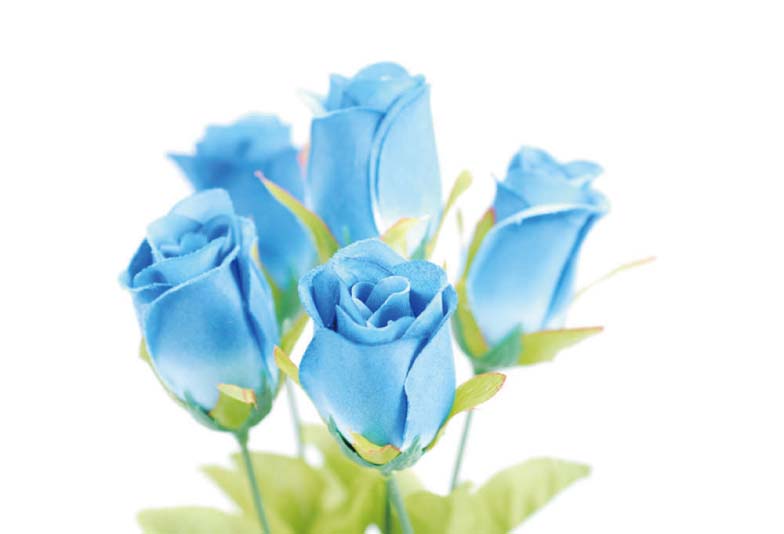 【浜松市】青色が好きな方必見！青いバラをモチーフにした結婚指輪とは？