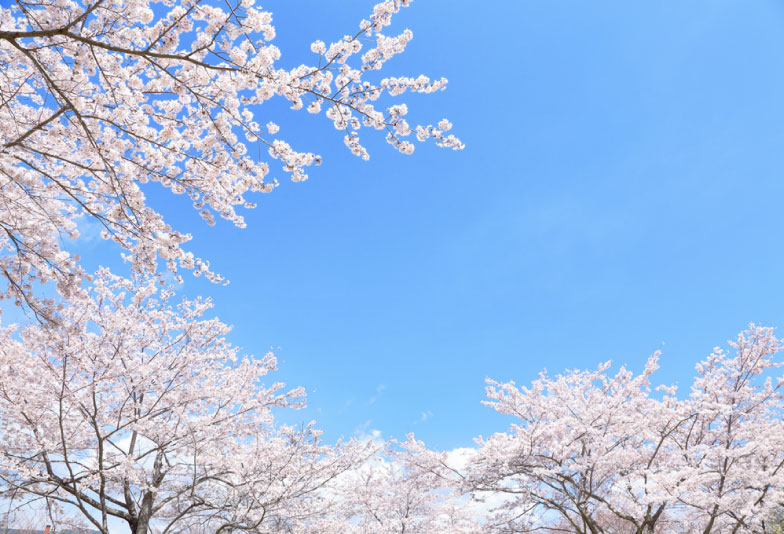 【兵庫県・加古川市】日本の風情を感じられる和ブランド特集！