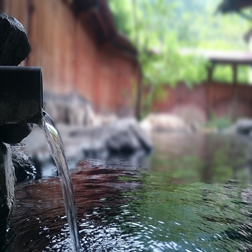 豪華特典は日帰り温泉旅行