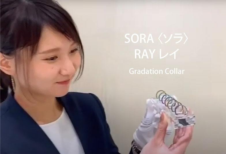 【動画】静岡市SORA〈ソラ〉RAY レイ 結婚指輪 ハワイ語で「光」を意味する結婚指輪