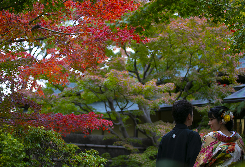 紅葉