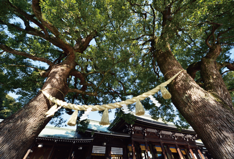 浜松市結婚指輪杢目リング