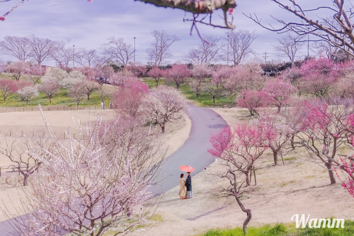 【静岡・浜松前撮り】いつ行ってもお花がキレイなフラワーパーク　お手入れの綺麗さが感動レベル