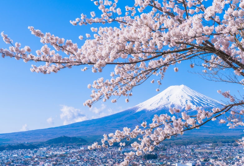 富士山と桜