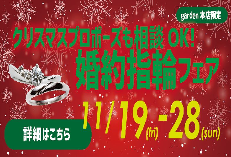 【南大阪・和歌山市】クリスマスプロポーズ婚約指輪フェア11/19～28