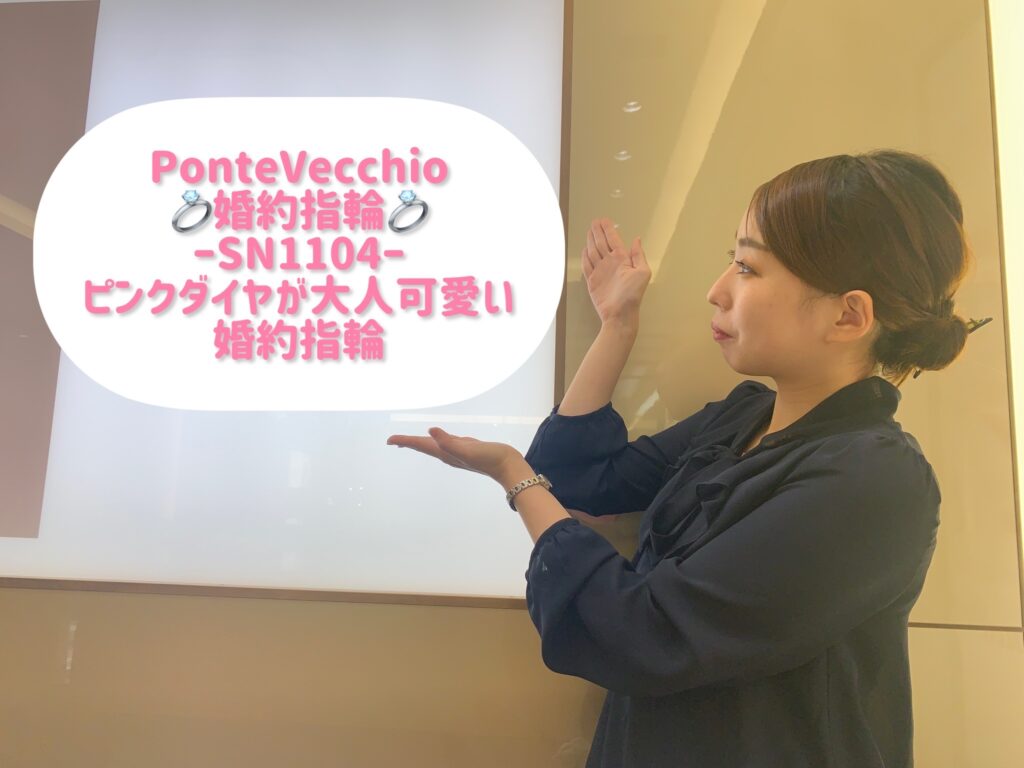 【動画】Ponte Vecchio～ポンテヴェキオ～SN1104～