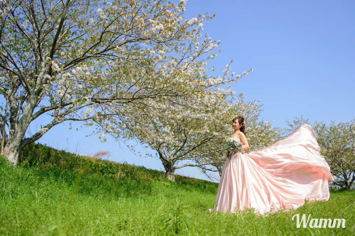 【静岡浜松前撮り】春の前撮りのご相談は前撮りオンラインで！ロケーションフォトは桜だけじゃないですよー！