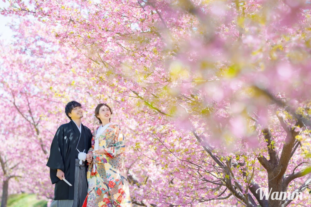 【静岡浜松前撮り】桜の前撮りいよいよラスト受付になりますよー。お早めに！