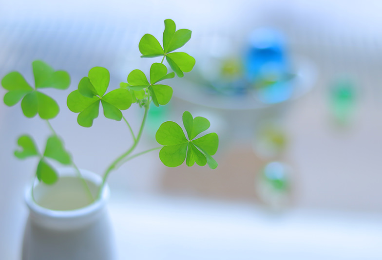 普段使いできる遺骨ジュエリー。おしゃれに想いを繋ぐ供養のカタチ