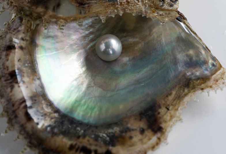 【静岡】日本の海が育んだ、最高峰の美。あこや真珠