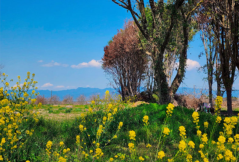【静岡】手元供養で注目の遺骨ペンダント。最愛の家族をもっと身近に
