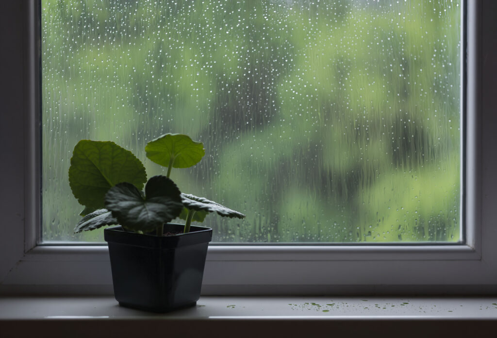 【長崎市】雨の日でも楽しめるオススメの過ごし方BEST3