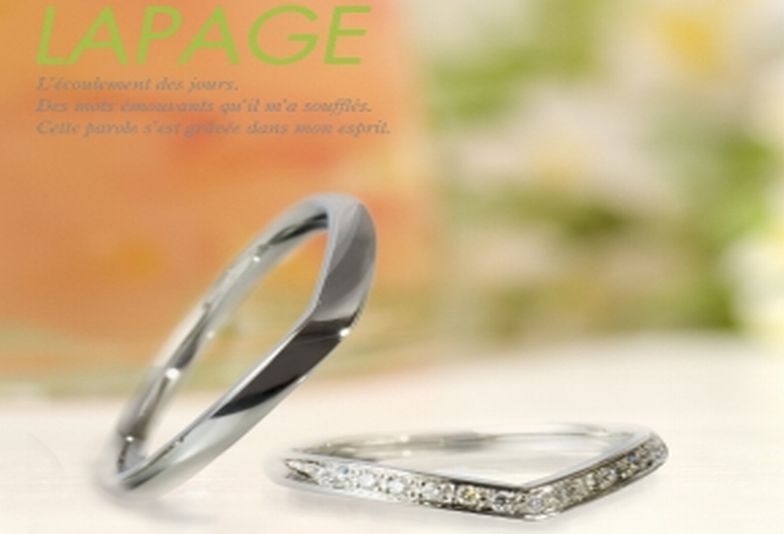 【兵庫県小野市】植物をモチーフにデザインされた唯一無二のデザイン「LAPAGE」をご紹介します