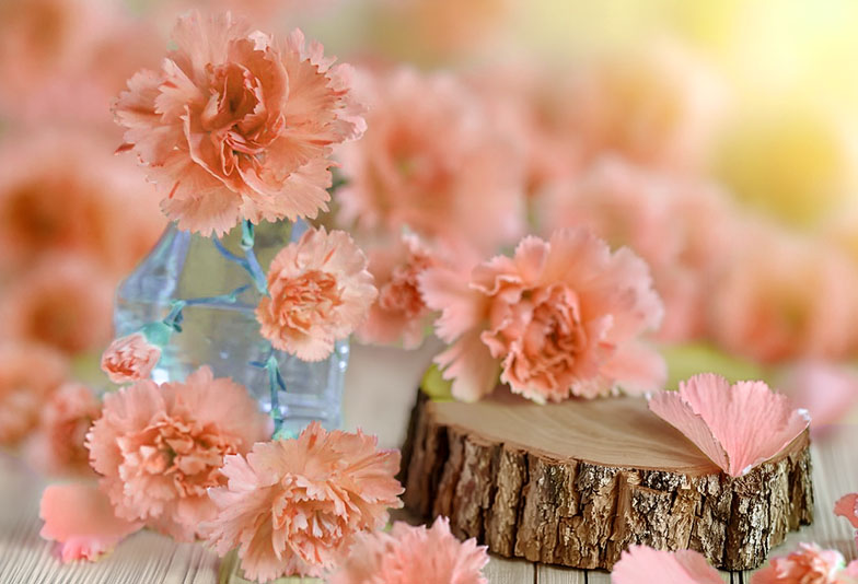 【長崎市】母の日に贈るもの。感謝の気持ちと一緒に伝えたいこと。