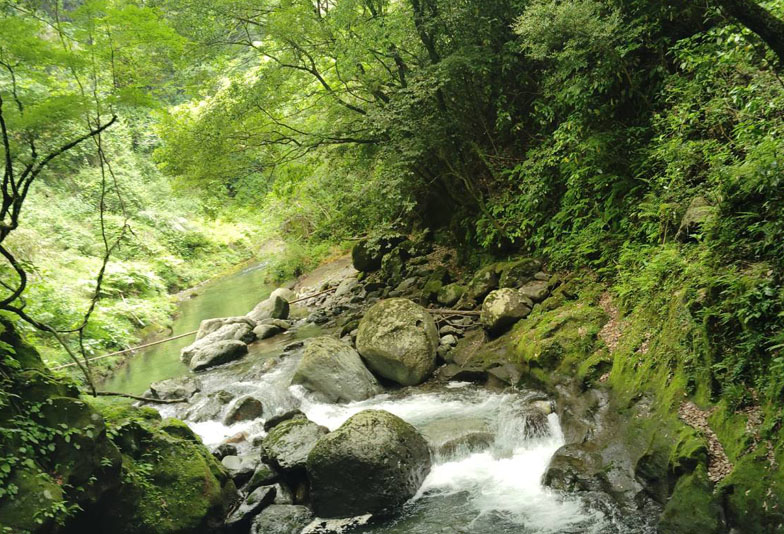 【長崎市】室内の新緑スポット？指輪づくり専門店うつくしみ