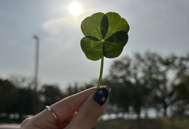 【長崎市】こどもの日の過ごし方レポ｜家族で楽しむ春のおでかけ・体験